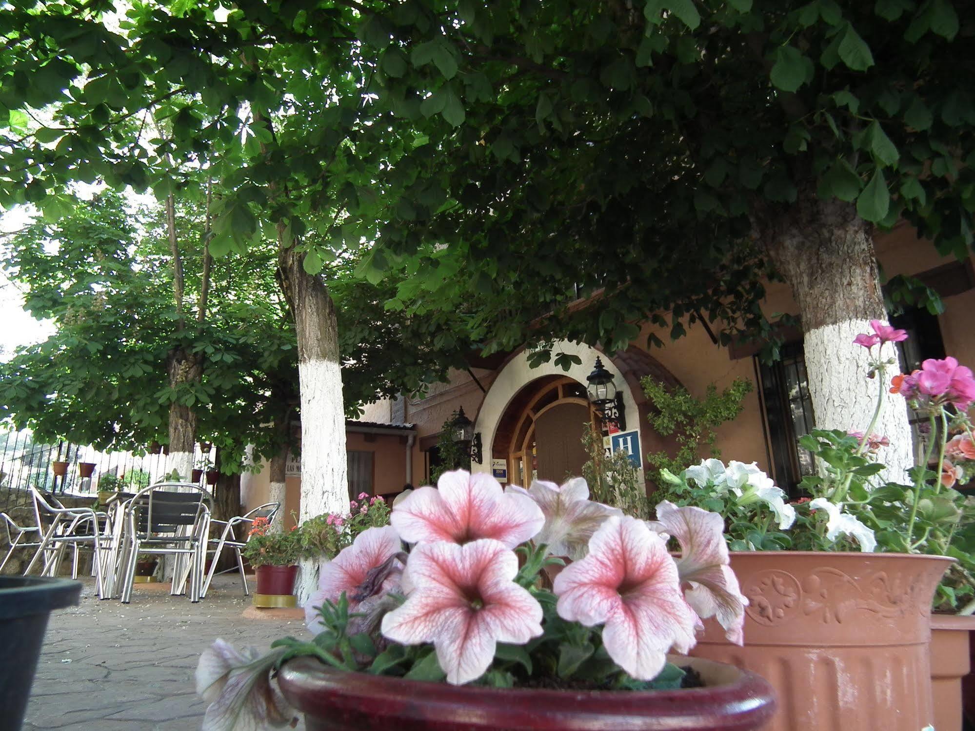 Hotel Suiza Bronchales Dış mekan fotoğraf